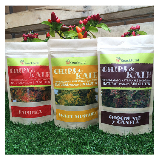 Chips de kale tres recetas saludables: Italiana, Mostaza con miel y Chocolate y Canela 