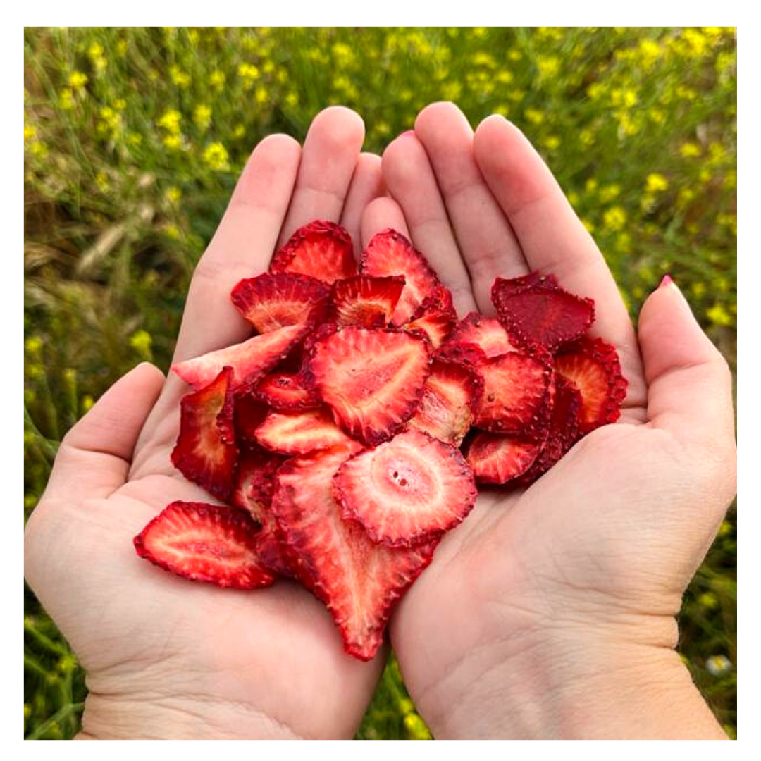 8 formas diferentes de utilizar fresa deshidratada sin azúcar 